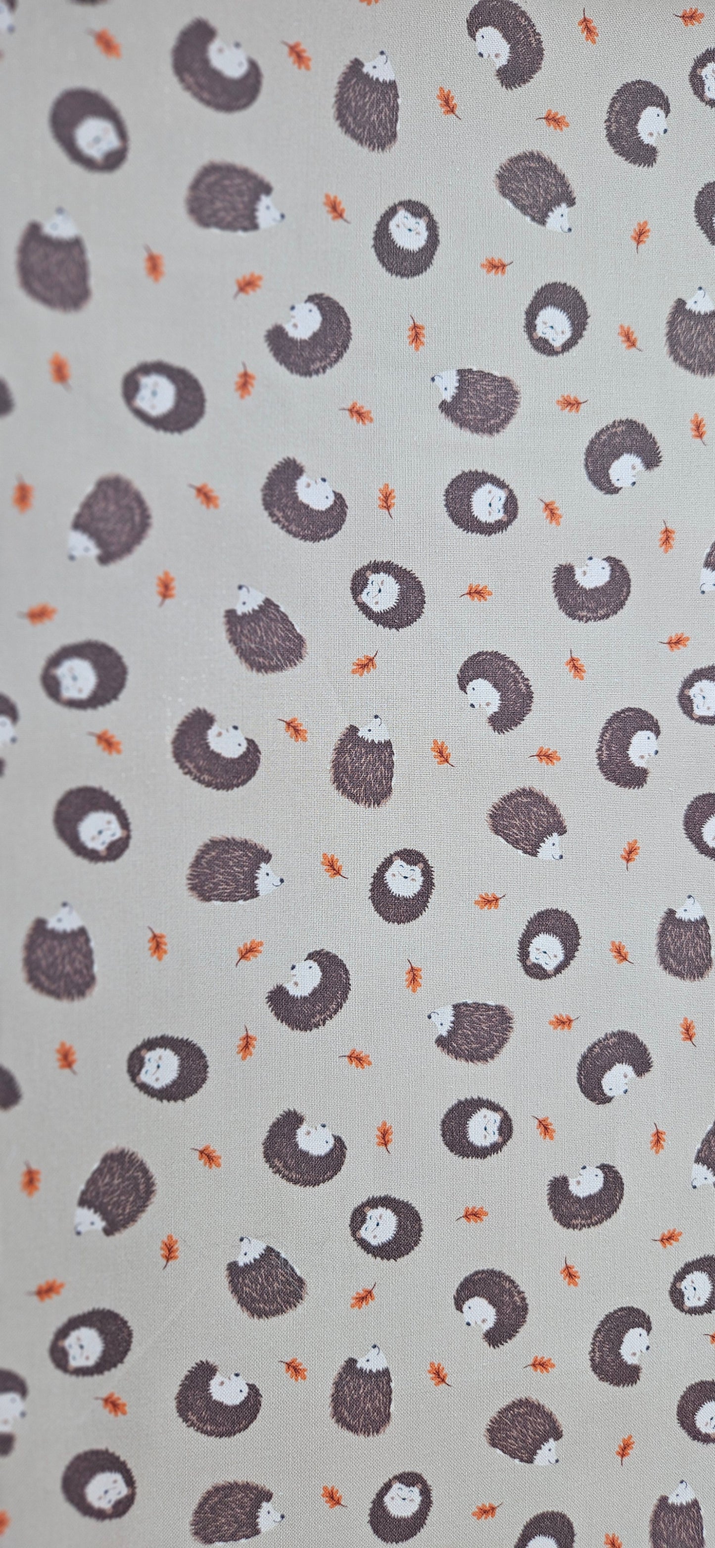 Lewis & Irene Hedgehogs on Light Brown Cotton Fabric – Woodland Quilting Fabric | 100% Premium Cotton
