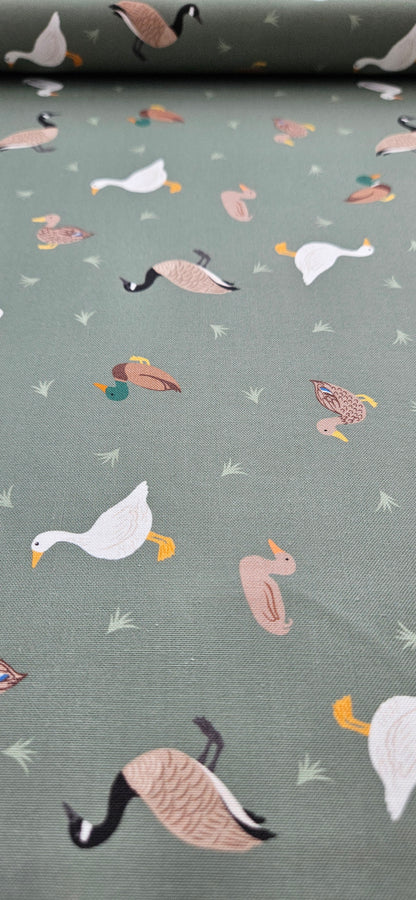 Lewis & Irene Small Things… Rivers & Creeks – Ducks & Geese on Green Cotton Fabric | 100% Premium Quilting Cotton