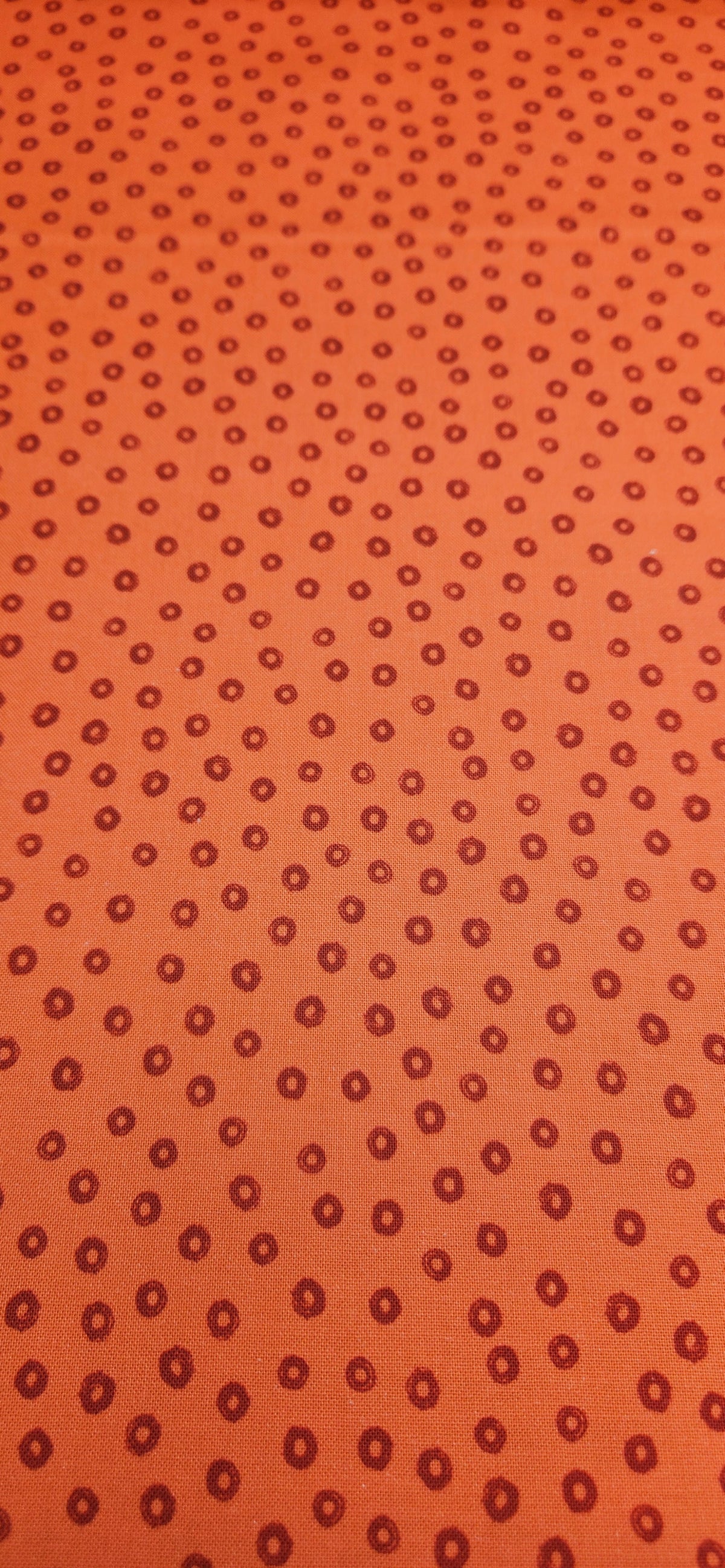 Lewis & Irene Creative Landscapes Sketchy Circle on Red Earth cotton fabric