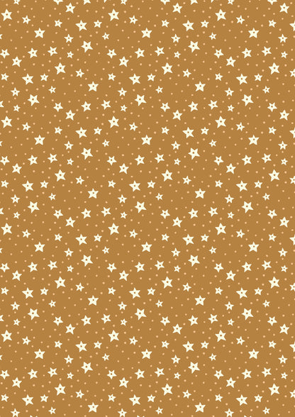 Chocolate Orange Gift Bag