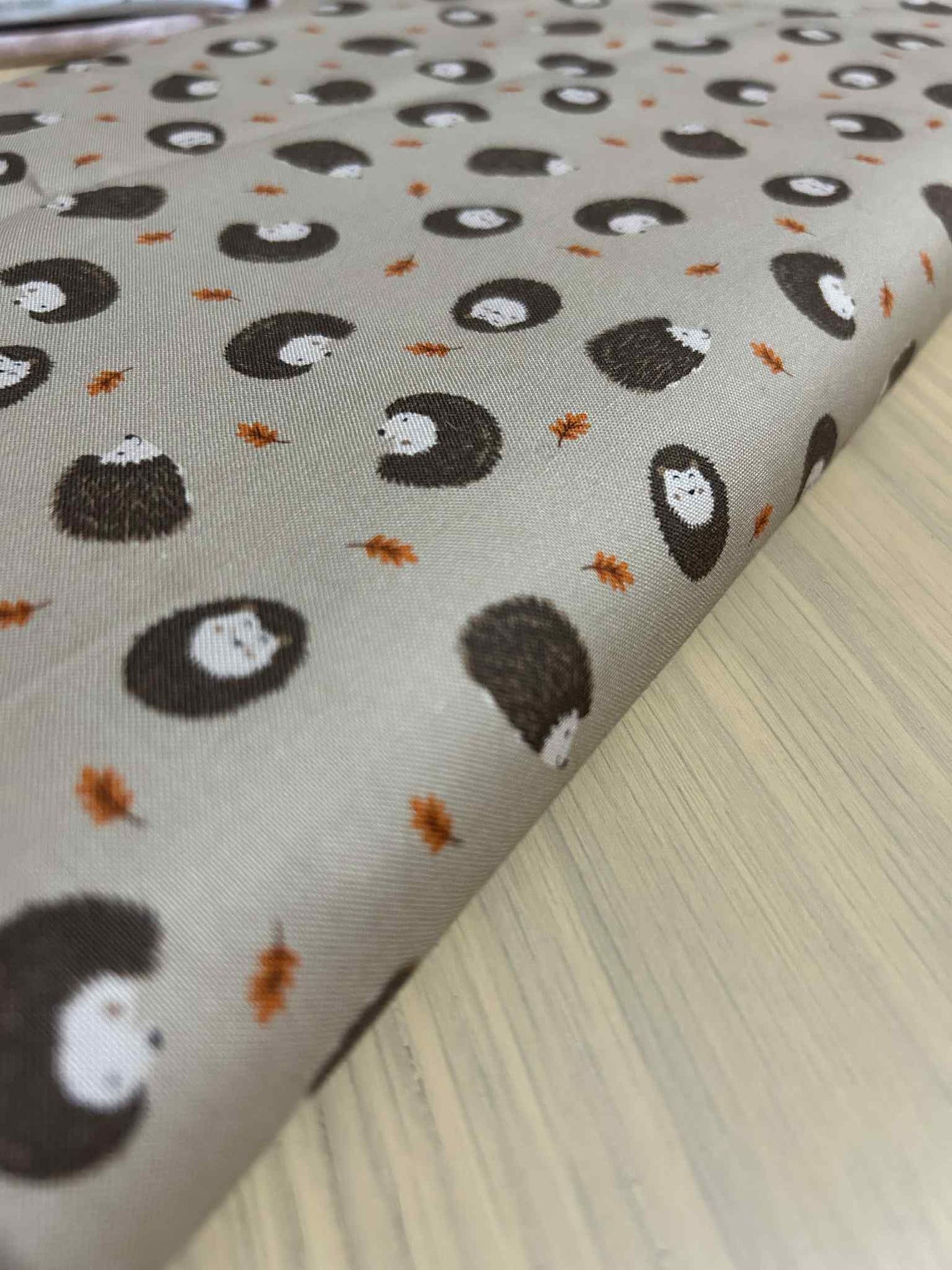 Lewis and Irene Hedgehogs on Light Brown