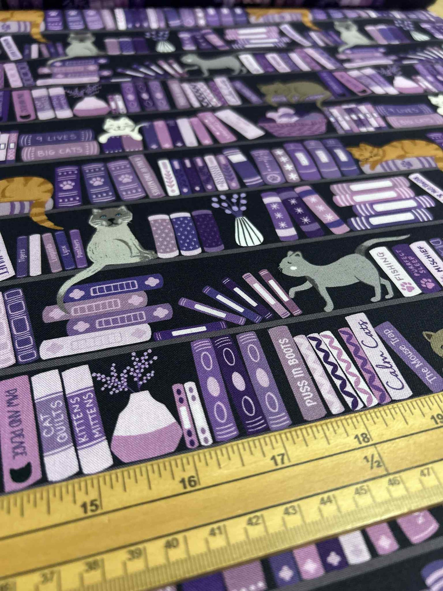 Lewis and Irene Book Shelves and Cats