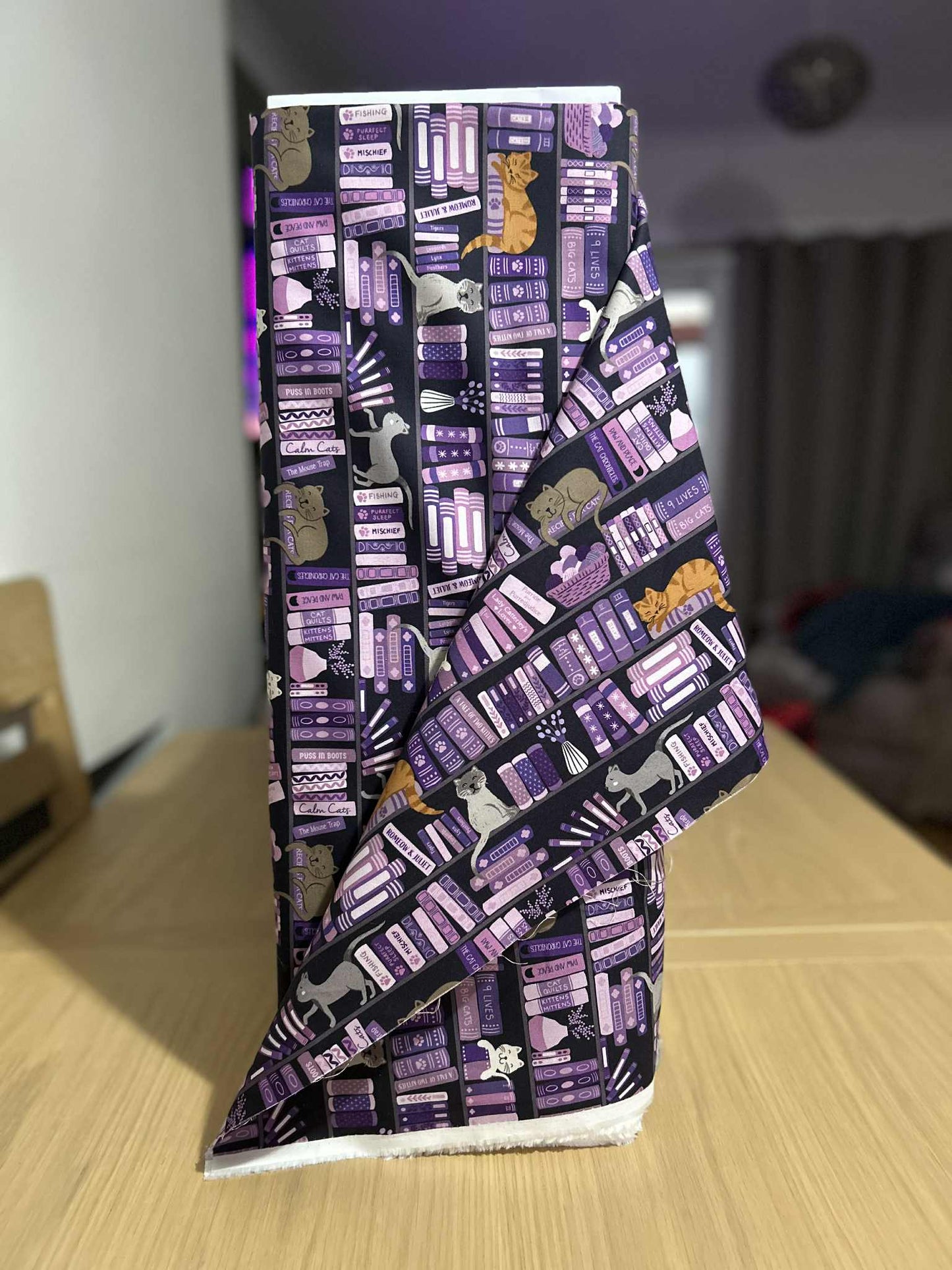 Lewis and Irene Book Shelves and Cats